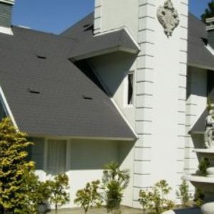 TELHA SHINGLE TRADITIONAL - Imagem 3